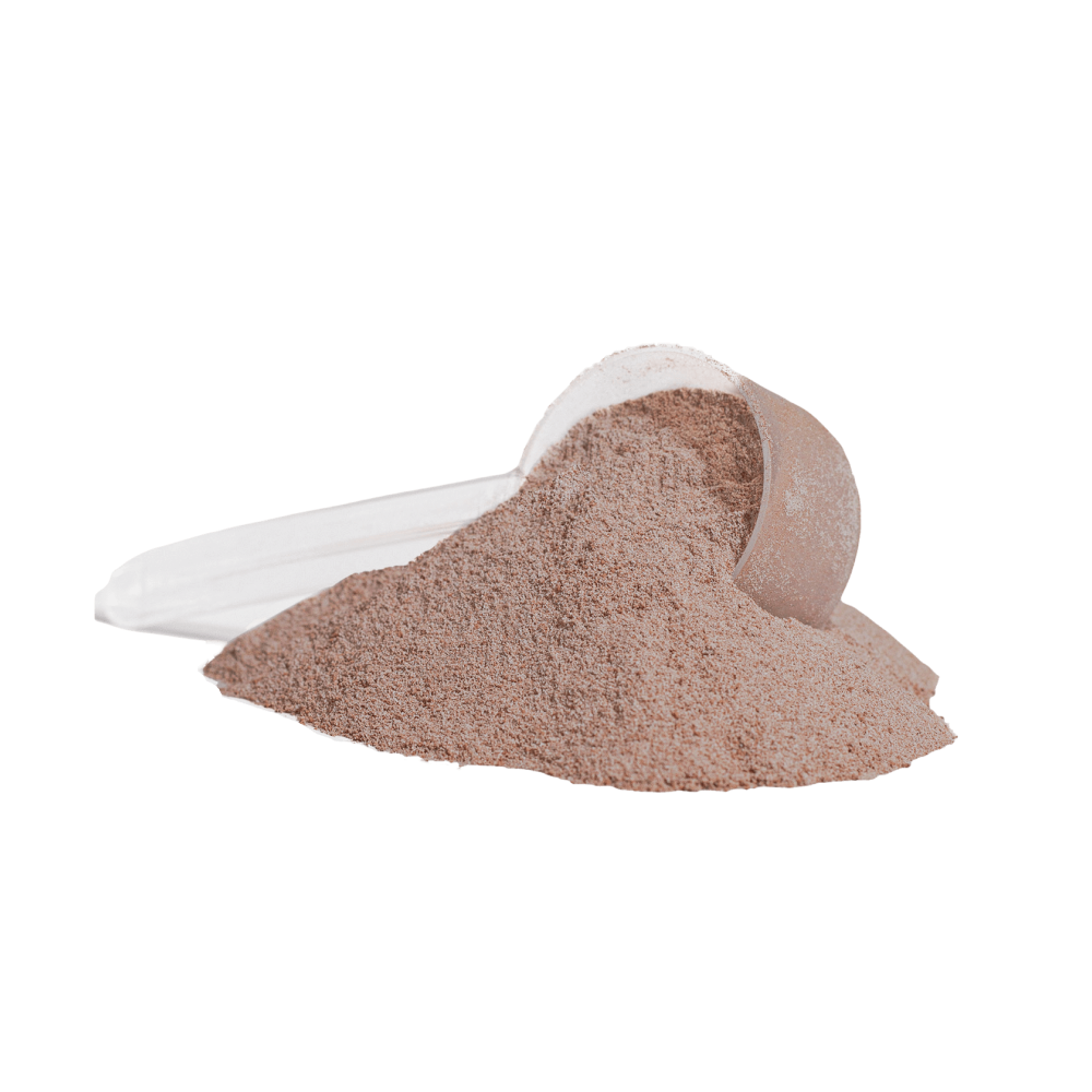 Whey Protein Concentrate (Chocolate Flavour)